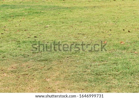 
Abstract background from a green lawn on a sunny day. The concept behind fresh nature Picture for adding text. Backdrop for art design