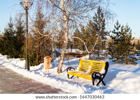 Yellow wooden bench in the winter park in the afternoon. Winter landscape