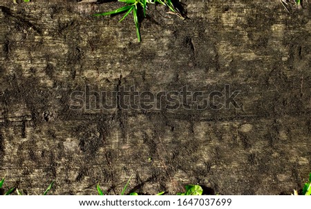Dark natural wood texture, weathered timber surface background.