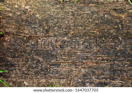 Warm brown bright natural timber surface with hints of vegetation scattered in the frame.