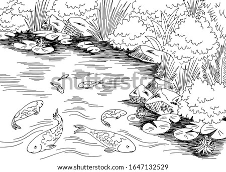 Pond koi carp fish graphic black white landscape sketch illustration vector