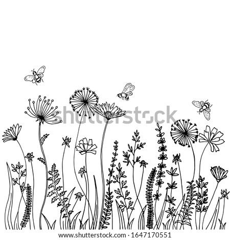 Black silhouettes of grass, spikes and herbs isolated on white background. Hand drawn sketch flowers and bees. Royalty-Free Stock Photo #1647170551