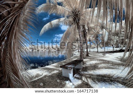 Palm trees garden in Infrared