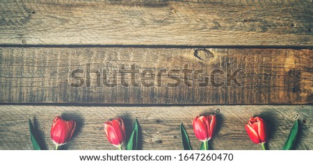 Spring flowers. Set of red color tulip flowers on rustic wooden background. Easter, Mother's Day and Valentines Day background. Rustic style. Copy space for your text. Toned image.