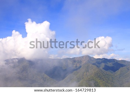 Morning Mist at Tropical Mountain Range,Thailand