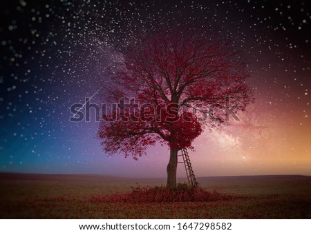 lonely tree and starry night .dreamy and fairy tail landscape.  