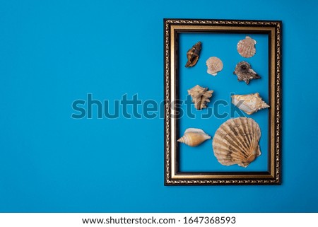 Frame and shells on a blue background. mock-up.