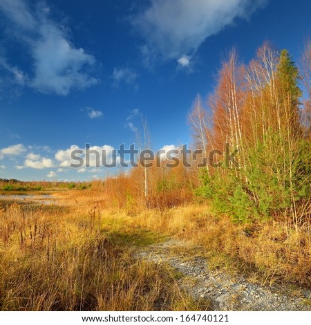 Autumn landscape against blue sky