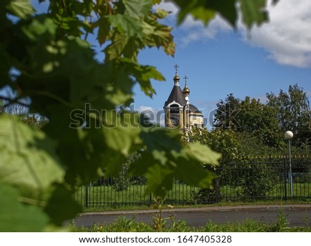 Orthodox Church because of the trees in the summer, Moscow