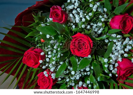 Bouquet of fresh red roses . bouquet of red roses . Red flower picture close up in the bouquet. The flower's petal