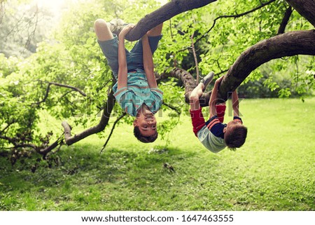 friendship, childhood, leisure and people concept - two happy kids or friends hanging upside down on tree and having fun in summer park Royalty-Free Stock Photo #1647463555