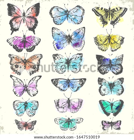 Hand drawn ink and watercolor butterfly set. Butterflies and moths illustration for holiday card, label or romantic background.