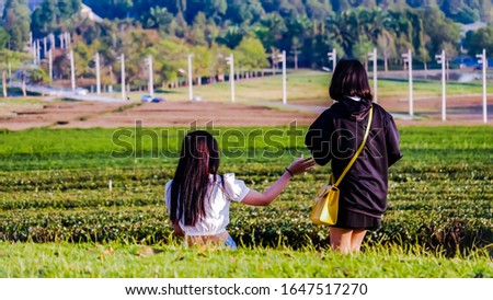 Two beautiful women standing to take pictures in the middle of the tea garden  Green tea garden background. At Chiang Rai city, Thailand.