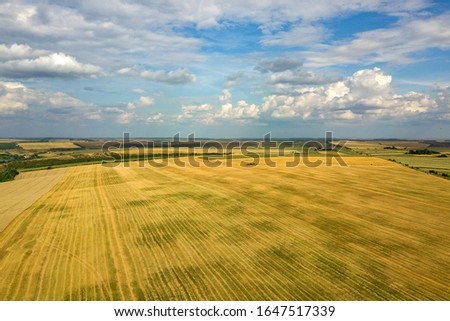 Aerial rural landscape with yellow patched agriculture fields and blue sky with white clouds.