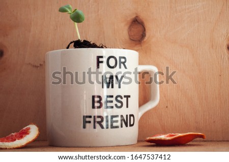 

gift for girlfriend mug with the inscription for my best friend with a sprout of sunflower