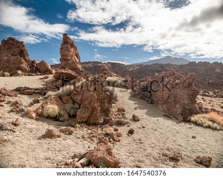 Landscape of dry plants and bushes growing on cliffs and rocks in desert
