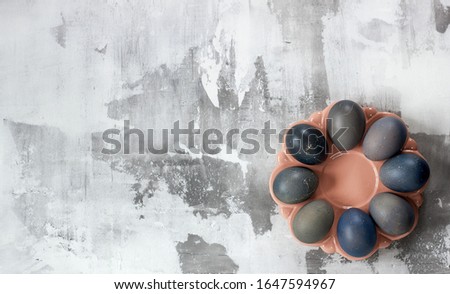 Easter blue  eggs on coral plate decorated with dry flowers and feather on concrete background, copy space, Christian religious festival concept and design