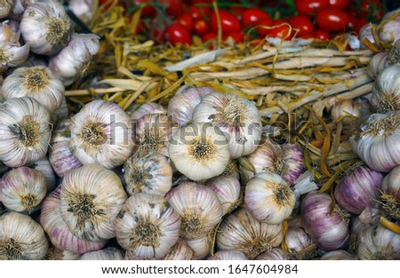 A closeup of garlic with tomatoes under the lights on the blurry background