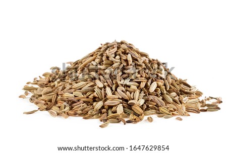 Fennel seeds isolated on a white background.