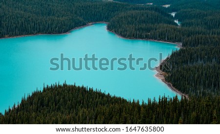 A vibrant aqua color lake, shaped like a star and surrounded by forest, Banff National Park, Canada.
