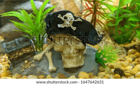 a small pirate ornament in an aquarium