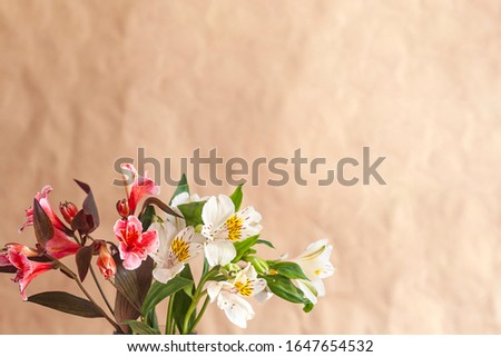 Unrecognizable woman hands holding up a glass jar full with easter eggs. Colorful spring flowers in the glass jar. Spring floral stock image