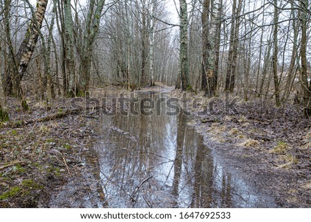 Flooding. Flooded forest. Finland, February 2020