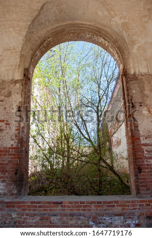 Young spring trees inside an old ruined building