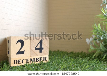 December 24, Date design in natural concept.