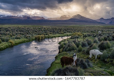Sunset by the river in Sajama National Reserve, Bolivia 