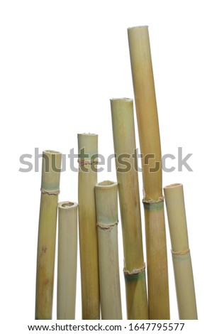 Bamboo sticks isolated on white background 