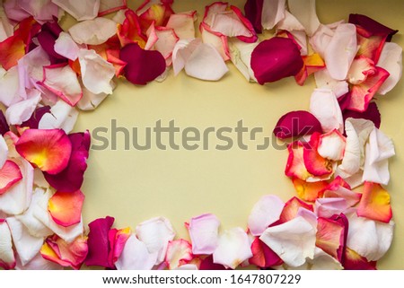 Rose petals of different colors and shades are scattered around the edge of the image. There is a place for text in the center of the photo. Horizontal photo.