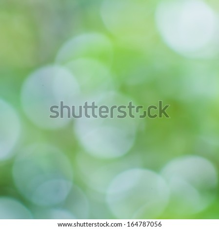 beautiful natural forest bokeh with  blur colorful  background in yellow and green