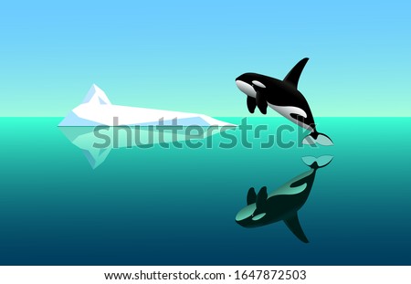 black young killer whale jumps out of the water, seascape with white iceberg, specular water surface with reflections & blue sky, color vector illustration in cartoon & clip art style