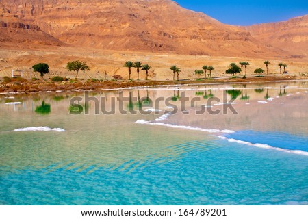 Dead Sea seashore with palm trees and mountains on background Royalty-Free Stock Photo #164789201