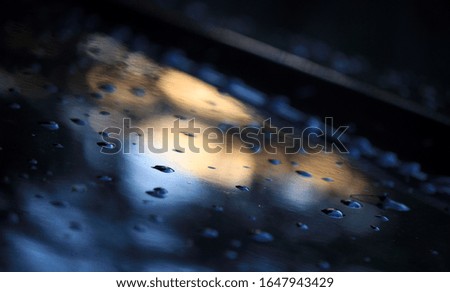 Water droplets on a car hood