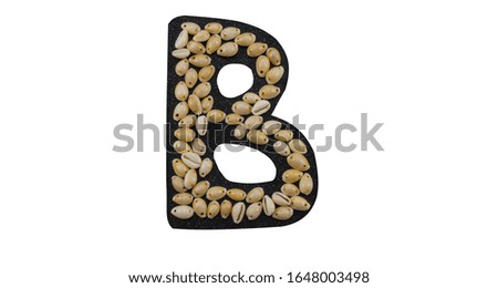Isolated Font English or Latin Letter B or Russian letter В made of seashell on black granite on white background