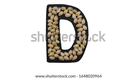 Isolated Font English or Latin Letter d made of seashell on black granite on white background
