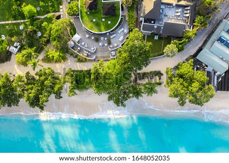 Directly above view of tropical beach with palm trees, terrace and  blue ocean waves.