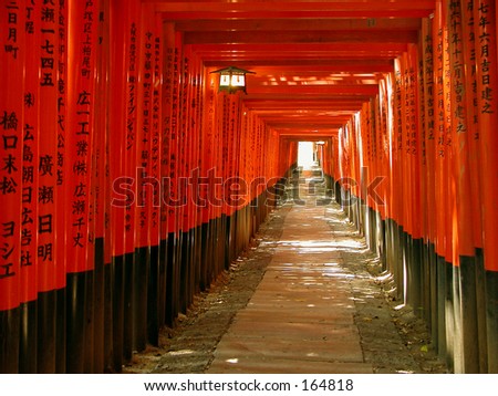 An interesting orange gates tunnel in the Inari Shrine in Kyoto,Japan