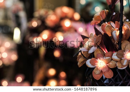 Pink flower picture with beautiful lights, black background