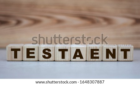 concept word testaent on cubes on a beautiful wooden background