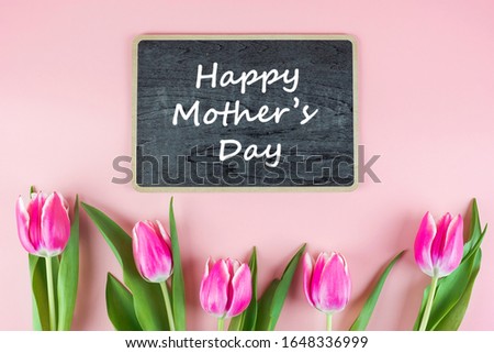 Pink Tulip flower on pink background with copy space for text. Love and Mother day concept