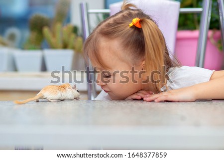 Little white girl plays at a table with a gerbil. The concept of communication of children with animals