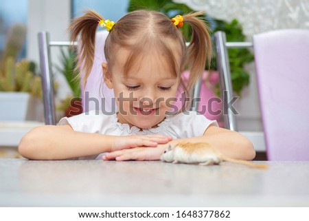 Little white girl plays at a table with a gerbil. Pet rodent and children