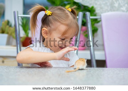 Little white girl plays at a table with a gerbil. Animal house keeping
