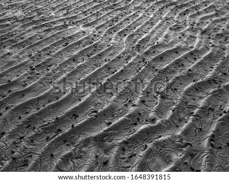 Black and white picture of Sand beach texture curve line background.  Sand pattern on the beach ,Ripples In The Sand On The Beach, wavy curved diagonal lines texture, desert light and shadows