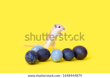 Ginger Mouse and beautiful easter eggs on a yellow background. Home gerbil