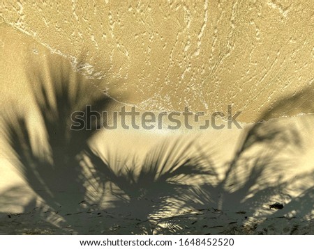 Beautiful nature background. Shadows from palm leaves fall on yellow sand near the sea. Water texture on yellow sand. Abstract textured backdrop. Horizontal, blur, cropped shot, free space for text. 