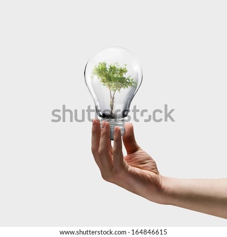 Human hand holding bulb with green tree inside